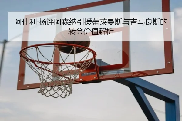 阿什利·扬评阿森纳引援蒂莱曼斯与吉马良斯的转会价值解析